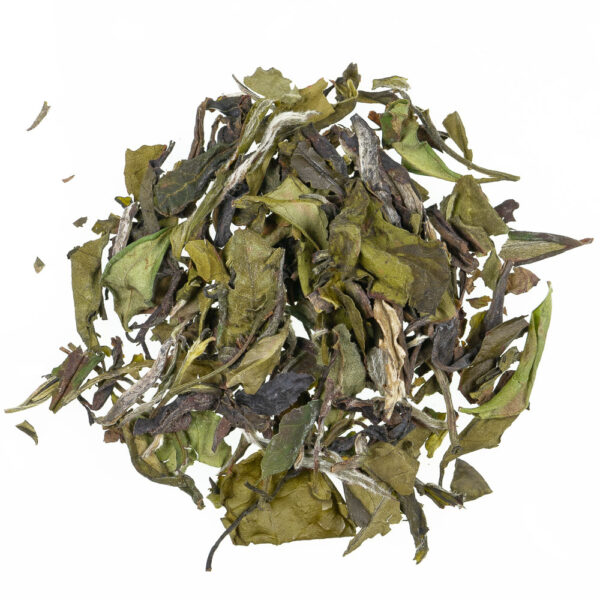 Bio Pai Mu Tan